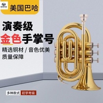 Baha palm number instrument pocket small number instrument portable palm number down B tone professional test class