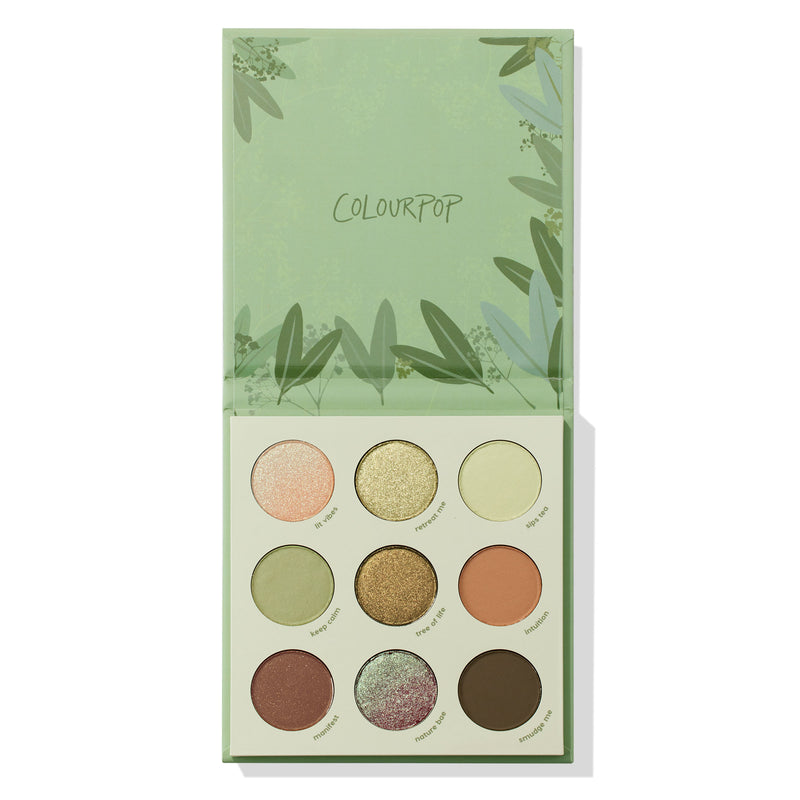 美版colourpop新品眼影盘sage the day卡拉泡泡petals en pointe - 图3