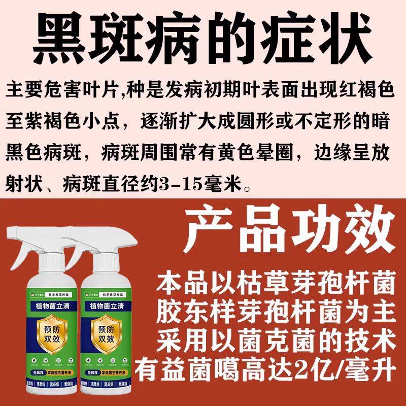 竹子专用肥料竹子黑斑病专用药叶子发黄干尖米簕竹子类营养液杀菌,淘宝优惠券,粉丝福利购,淘宝优惠卷