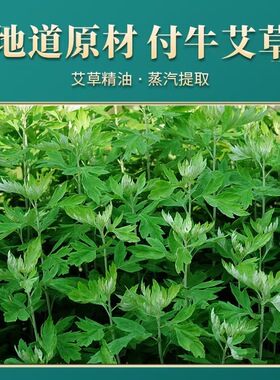 艾草生姜按摩颈椎开背刮痧精油