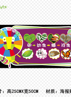 自然风生长过程蚕宝宝循环昆虫