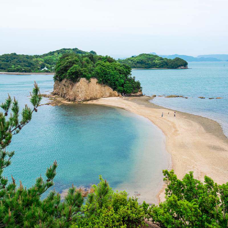 ���������콢�� �Ϻ����ձ��㴨����5-6��������������˰��Ʊ