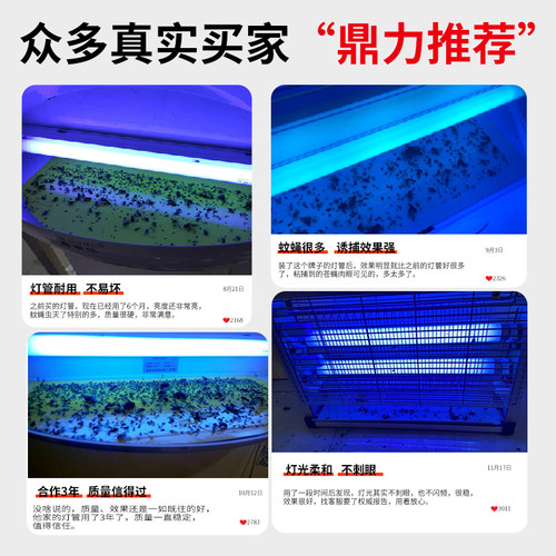 灭蚊灯管喜来乐粘捕式灭蝇灯餐厅商专用诱T5-6W8W蓝紫光灭蝇灯管 - 图1