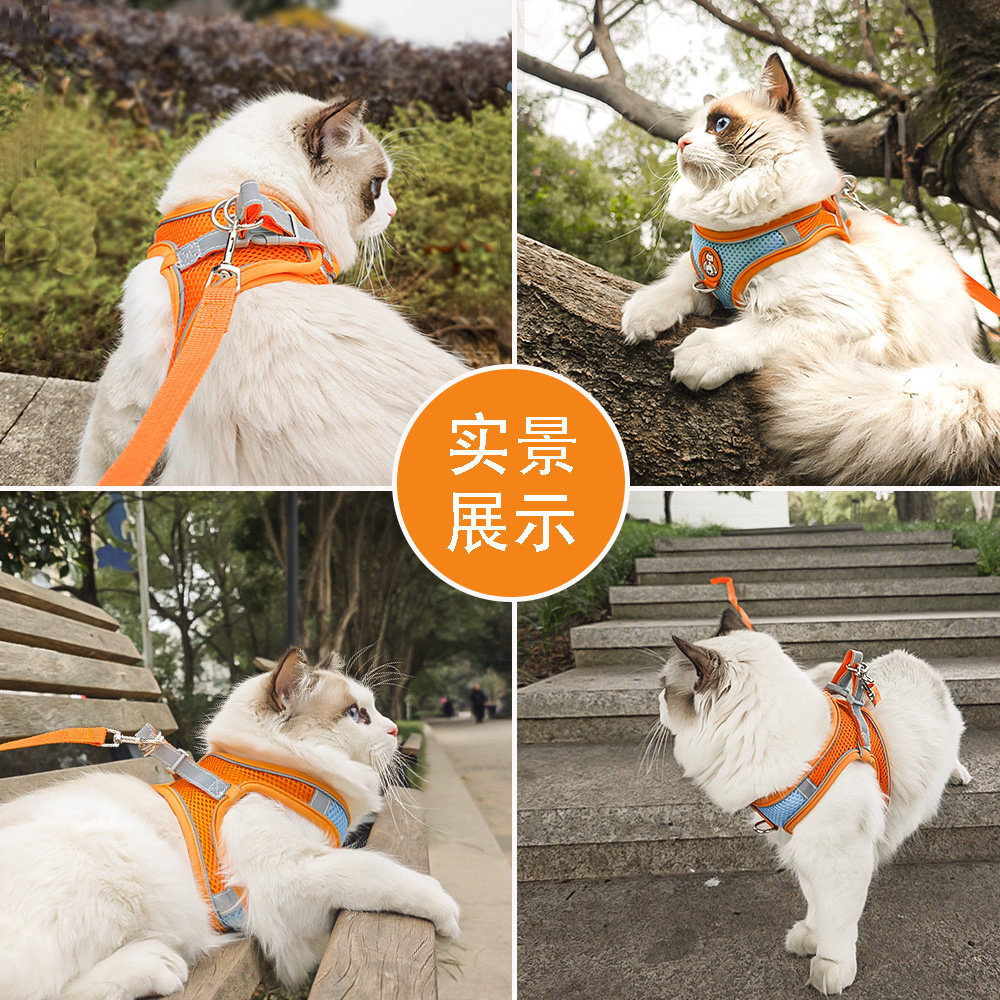 猫绳牵引绳防挣脱不勒脖猫咪专用牵猫绳子小猫遛猫绳栓猫神器外出,淘宝优惠券,粉丝福利购,淘宝优惠卷