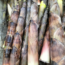 Guizhou species wild fresh bamboo shoots with shell hair small bamboo shoots and shoots of asparagus and asparagus vegetables