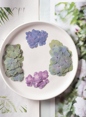 Summer garden重瓣绣球干花押花压花包水晶滴胶diy材料填充封入物