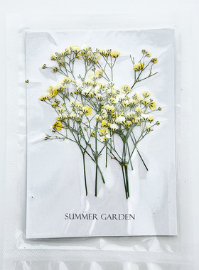 Summergarden满天星押花包