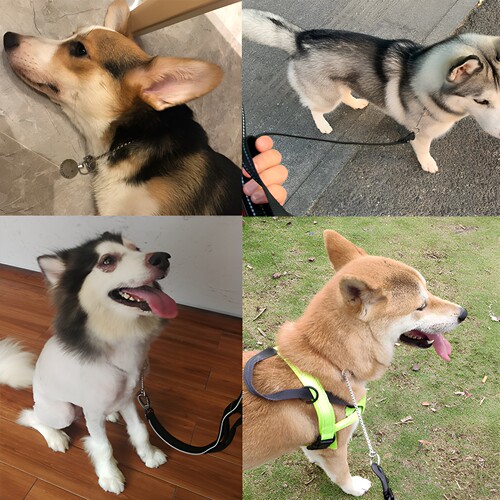 狗狗P链钛钢防爆冲P字链蛇链大中小型训犬金毛赛级不锈牵引绳项圈 - 图3