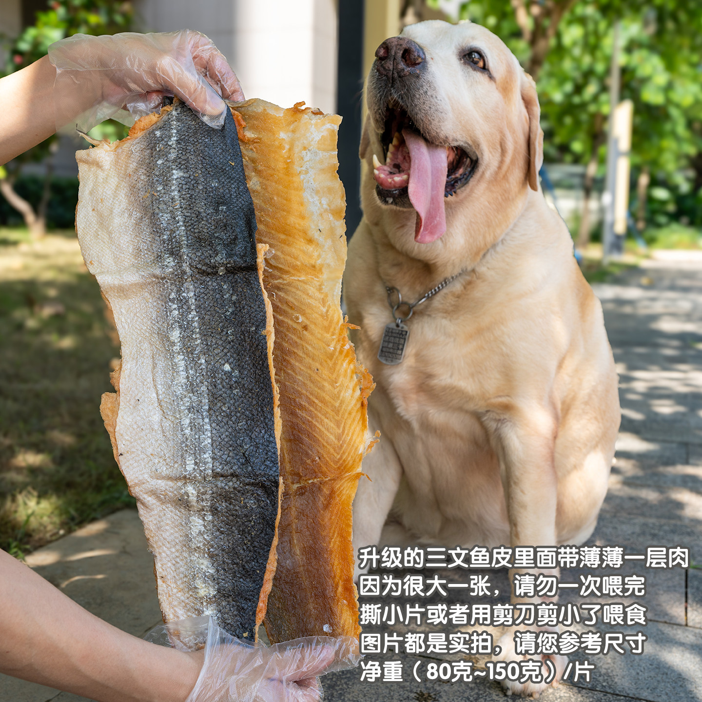 特大冻干带肉三文鱼皮宠物零食狗狗磨牙洁齿营养幼犬大狗奖励肉干,淘宝优惠券,粉丝福利购,淘宝优惠卷
