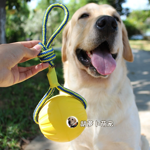 Не повредьте зубами щенки измельчения зубов, зубов, собачьих игрушек каучука