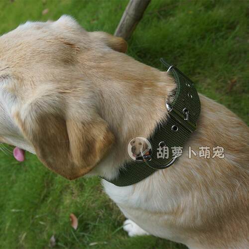 宠物脖圈拉布拉多金毛德牧项圈狗圈颈圈中型犬大型犬加厚脖套包邮 - 图3