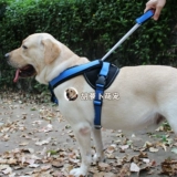 Сердень для груди собаки в середине -луче