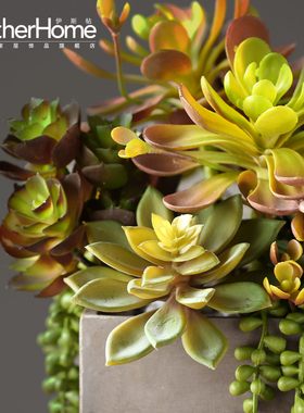 室内盆栽仿真植物客厅小摆件