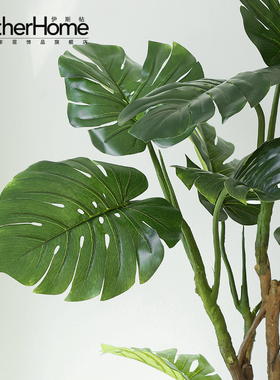 北欧风仿真植物裂口家居客厅假花