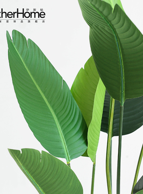大型仿真盆景绿植旅人蕉室内装饰