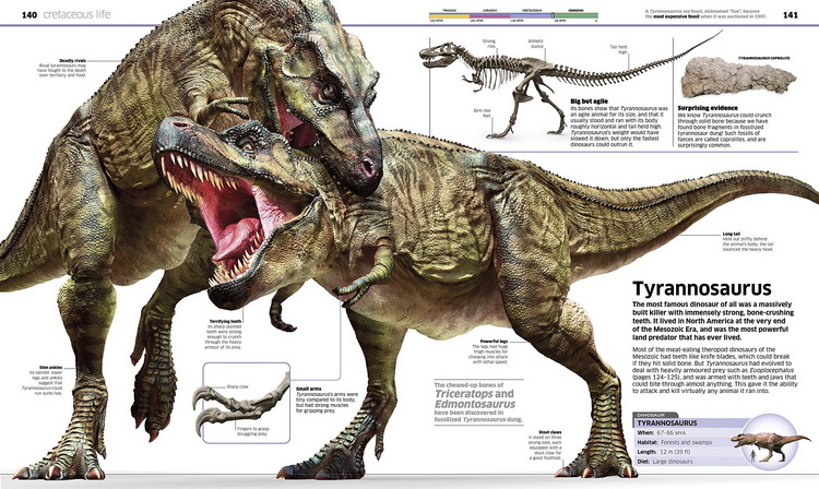 预售 DK恐龙知识百科全书 英文原版 DK Knowledge Encyclopedia Dinosaur 超60种前所未见的史前生物 精装实景绘本 DK恐龙图解百科 - 图2