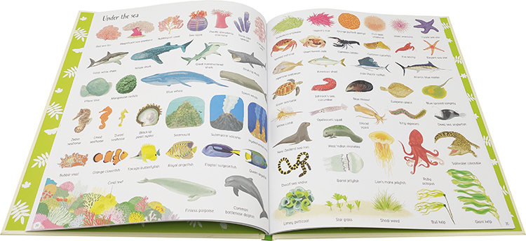 英文原版 Usborne 自然界中的1000个动植物 DK1000 Things in Nature 儿童认知识物 早教益智科普百科读物 精装大开图画书 - 图1