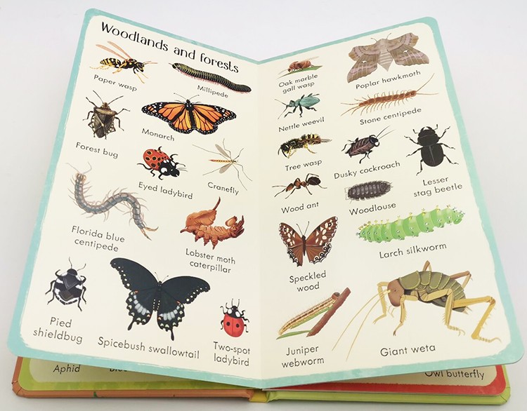 Usborne 199 Animals/ Dinosaurs /Birds/Jobs/Flowers/Bugs 12册合售 低幼启蒙单词学习 精装 儿童百科科普认知绘本 尤斯伯恩 - 图1