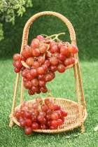 Chilean Mulka Perfume grapes with 2 catties of 4 catties