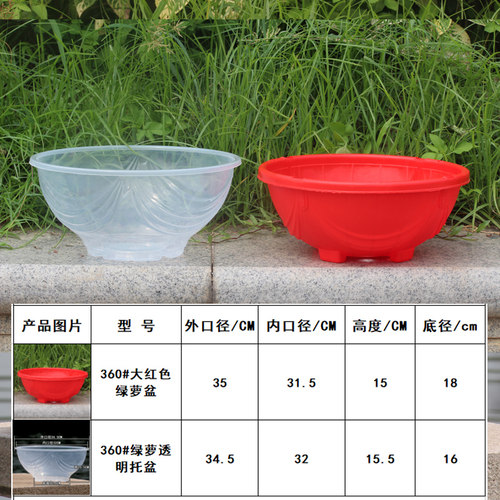 盆栽水培植物 绿萝花盆透明自吸水外盆塑料大 储水懒人盆室内包邮 - 图1