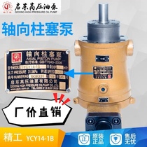 Enlightening high pressure Seiko Seiko 10 10 40 40 63 63 80160 250YCY14-1B axial plunger pump hydraulic pump