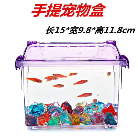 extra large plastic fish tank