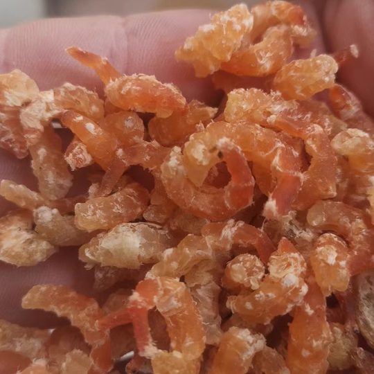 山东威海荣成大金钩海米大老婆虾500克包邮干干净很干