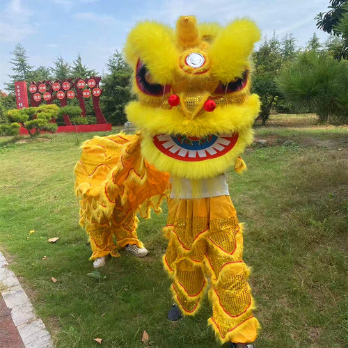 舞狮道具整套南狮醒狮佛山舞狮头双人成人北狮醒狮头用品 - 图0