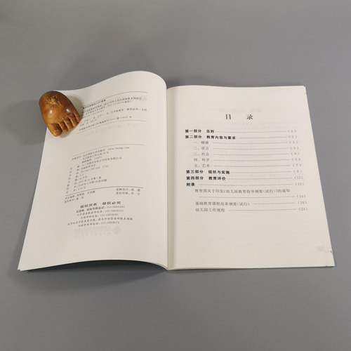 幼儿园教育指导纲要 试行 北京师范大学出版社 9787303059584 学前教育专业知识育儿书籍幼儿园教学用书教师培训手册教师编制书籍 - 图2