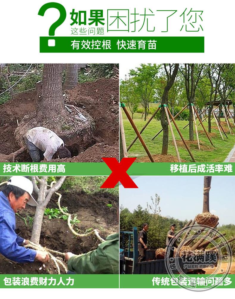 控根器 果树阻限根围树板植树专用围土栏快速移育苗容器 厂家直销