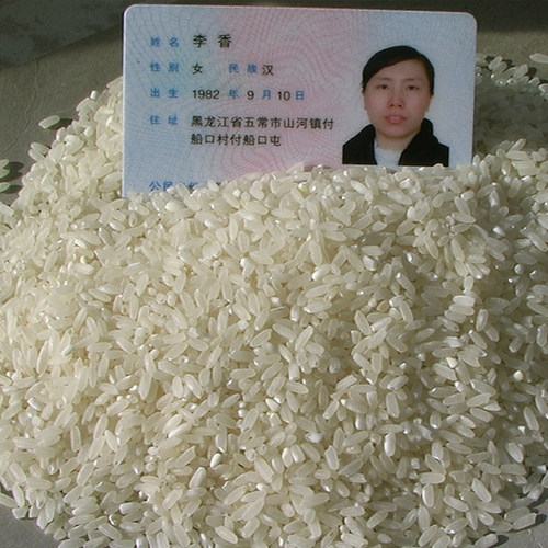 正宗五常大米原粮稻花香2号大米50斤东北黑龙江大米特价2025新米 - 图2