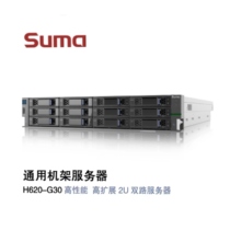 China Cocontrollable H620-G30 Domestically Developed Shinsehaiguang CPU High Performance 2U dual-path rack server