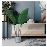 Северная симуляция зеленое растение одиночное раюе путешественник для птиц банановый лист сокол одинокая черепаха спина красоты банановые свадебные украшения