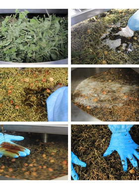 球球同款浓缩50倍藿香金银花艾草沐浴露在洗澡的同时都是在养肤哦