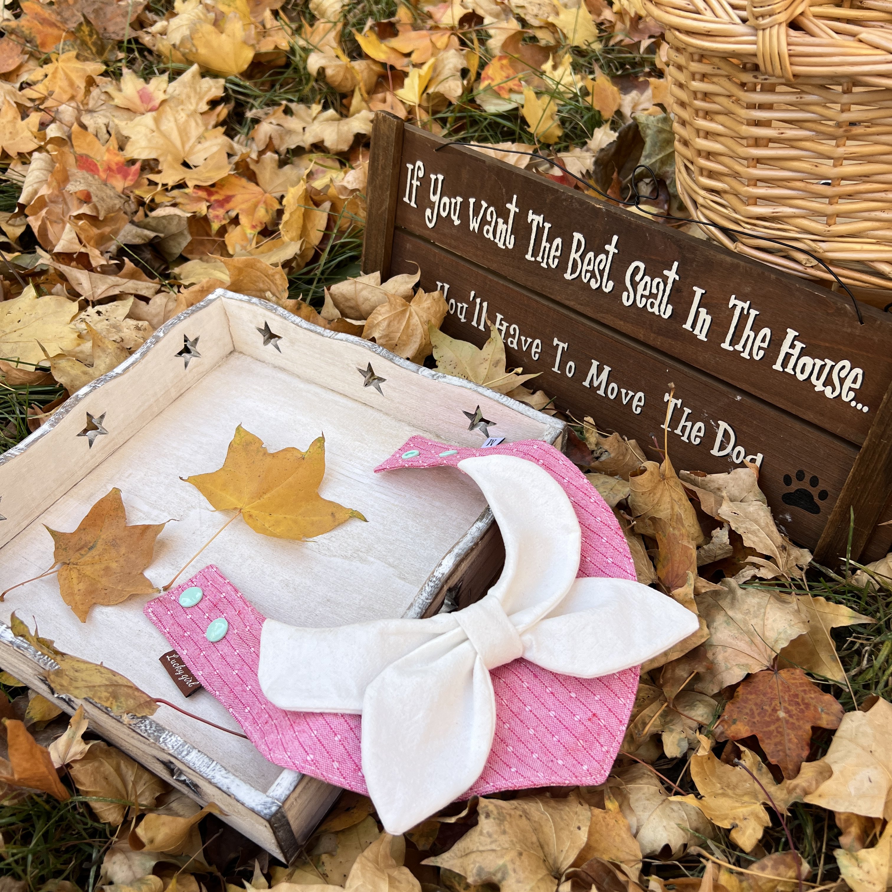 宠物口水巾猫咪狗狗通用三角巾布偶约克夏防脏脖套卡通可爱围脖,淘宝优惠券,粉丝福利购,淘宝优惠卷