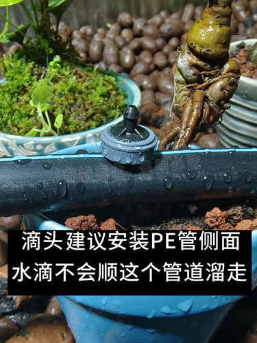 以色列耐特菲姆压力补偿滴头2L 4L 8L 进口NETAFIM滴箭灌溉设备 - 图2