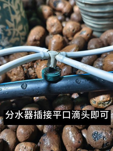 以色列耐特菲姆压力补偿滴头2L 4L 8L 进口NETAFIM滴箭灌溉设备 - 图1