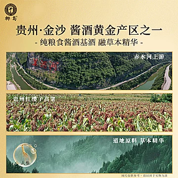 椰岛六味地黄酒 53度500ml[1020元优惠券]-寻折猪