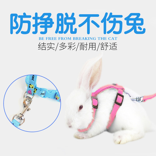 溜兔子牵引绳小宠物兔兔外出专用龙猫链子遛兔绳牵引带防挣脱神器 - 图2