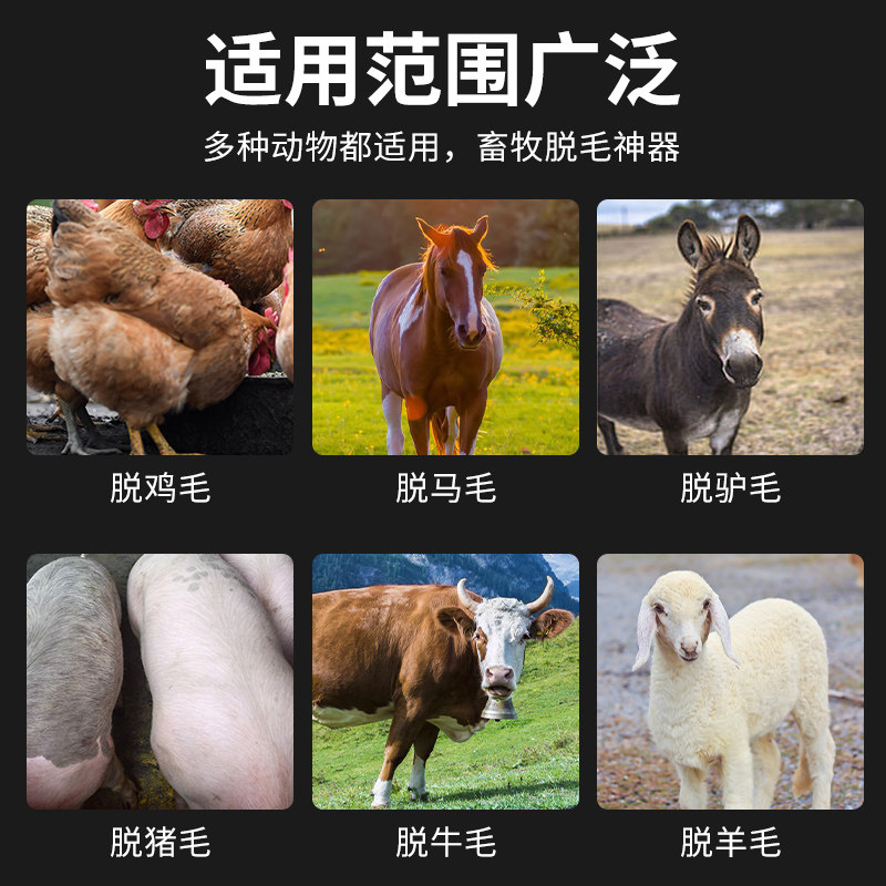 杀猪脱毛专用脱毛盘神器刮猪毛去牛羊毛角磨机电动刀盘不锈钢刀片,淘宝优惠券,粉丝福利购,淘宝优惠卷