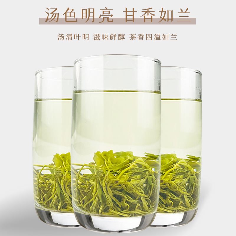 广东紫金绿茶2023新茶高山云雾炒青绿茶明前春茶特级散装500g包邮