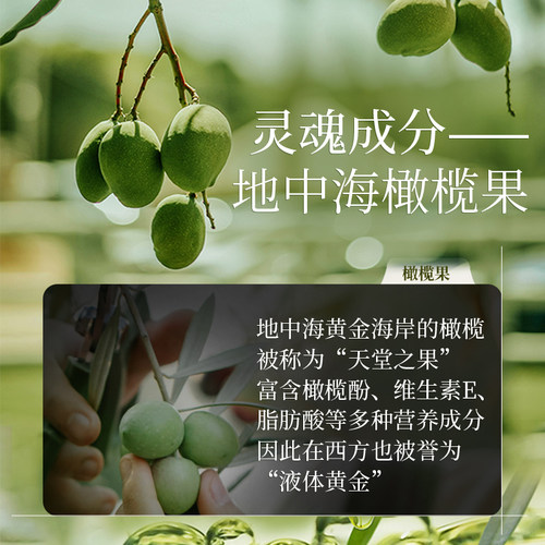 仙维娜洗发露护发素橄榄去屑柔顺洗发水营润洗护套装留香官方正品 - 图2