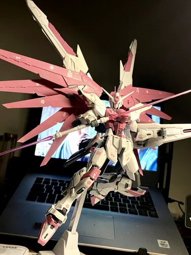 大班MG樱花自由2.0魔改1/100带樱花水贴机甲拼装模型机甲玩具手办 - 图2