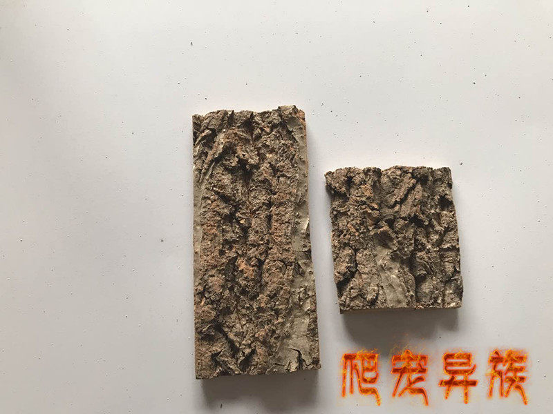 香槟树皮躲避树栖蜘蛛宠物蝎子造景躲避树皮躲避造景,淘宝优惠券,粉丝福利购,淘宝优惠卷