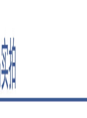 in风爆款饰品 时尚龙彩色亚克力嘻哈风个性夸张扁项链女