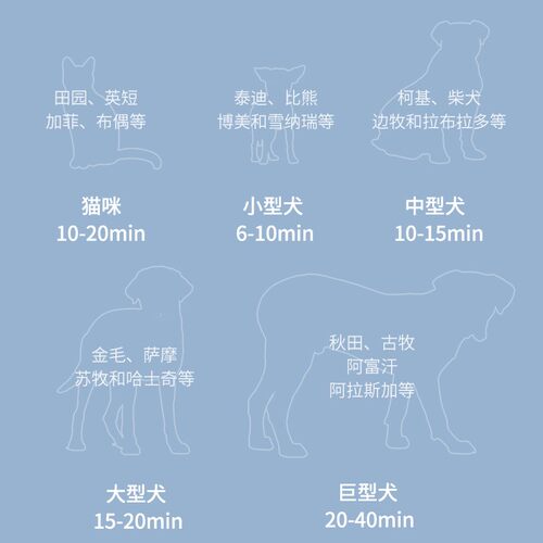 春舟宠物专用吹水机狗狗吹风大功率静音大小型犬狗猫吹毛金毛泰迪-图0