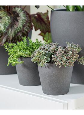 佩希拉德装饰用花盆深灰植物花卉