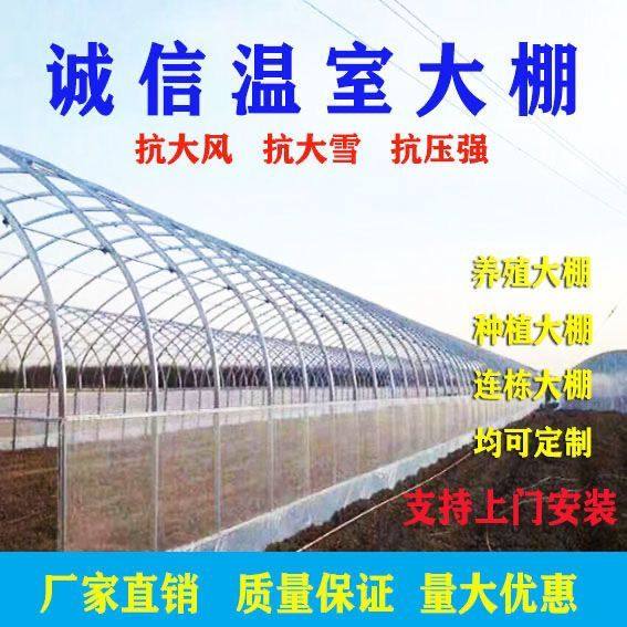 种植大棚大棚骨架养殖大棚鸡棚养猪棚蔬菜大棚花卉棚温室大棚全套,淘宝优惠券,粉丝福利购,淘宝优惠卷