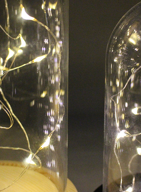 摆件透明小夜灯礼物防尘罩永生花