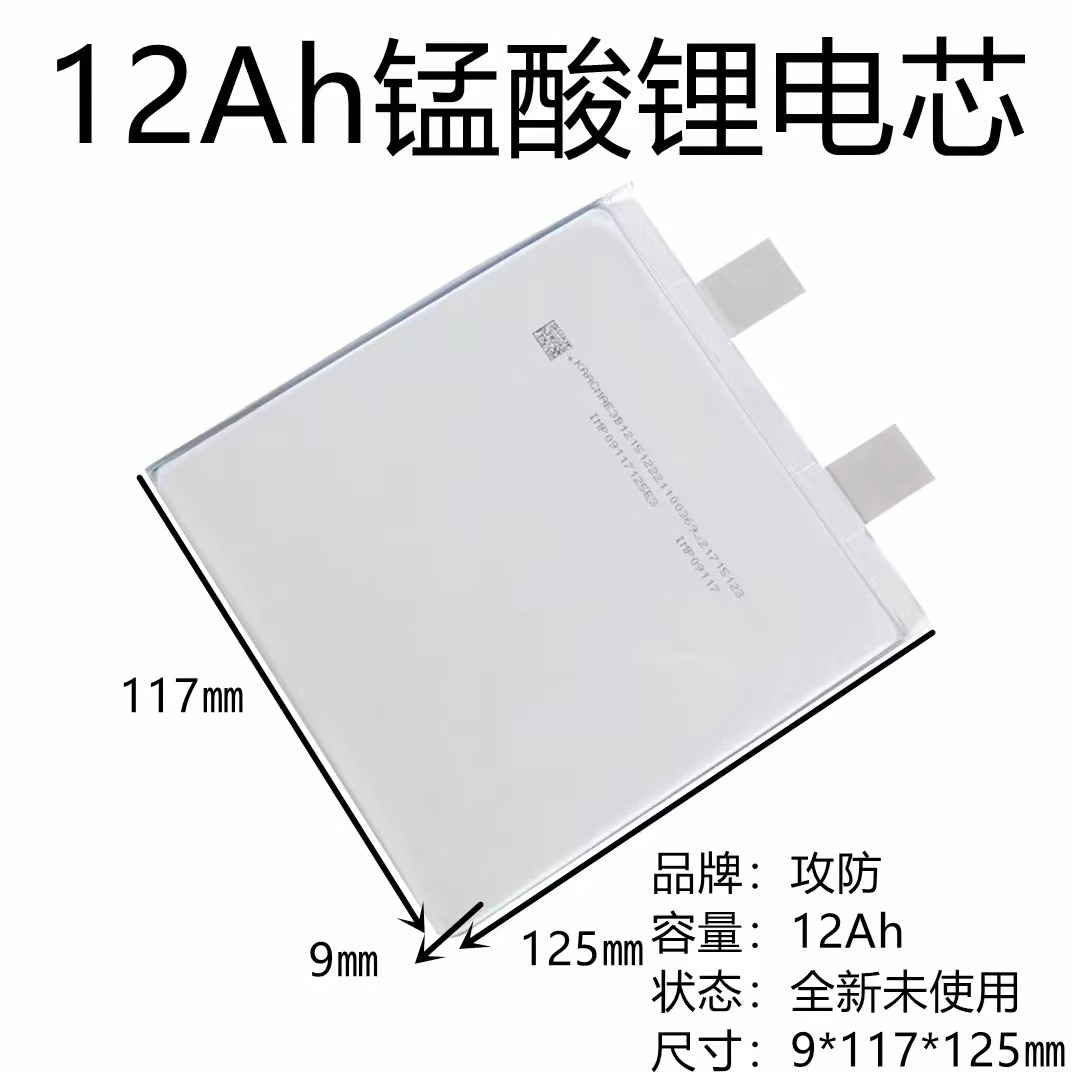 实标三元锂电池大容量120A35A40A电动电瓶动力聚合物电池25A-68Ah - 图0